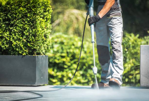 Professional Pressure washing in Ayden, NC