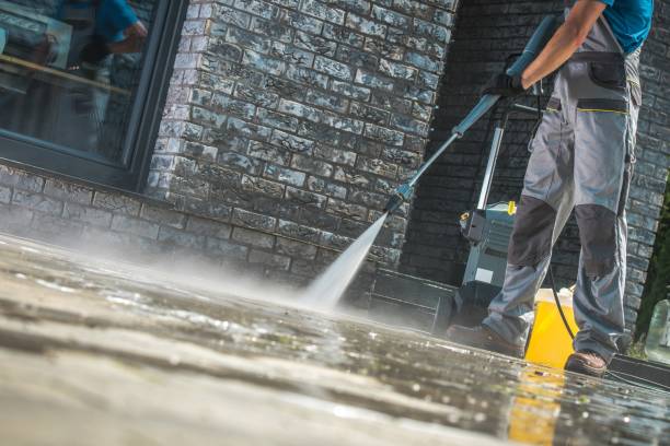 Best Sign and Awning Cleaning  in Ayden, NC