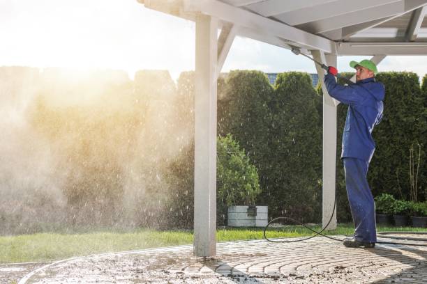 Best Roof Washing  in Ayden, NC